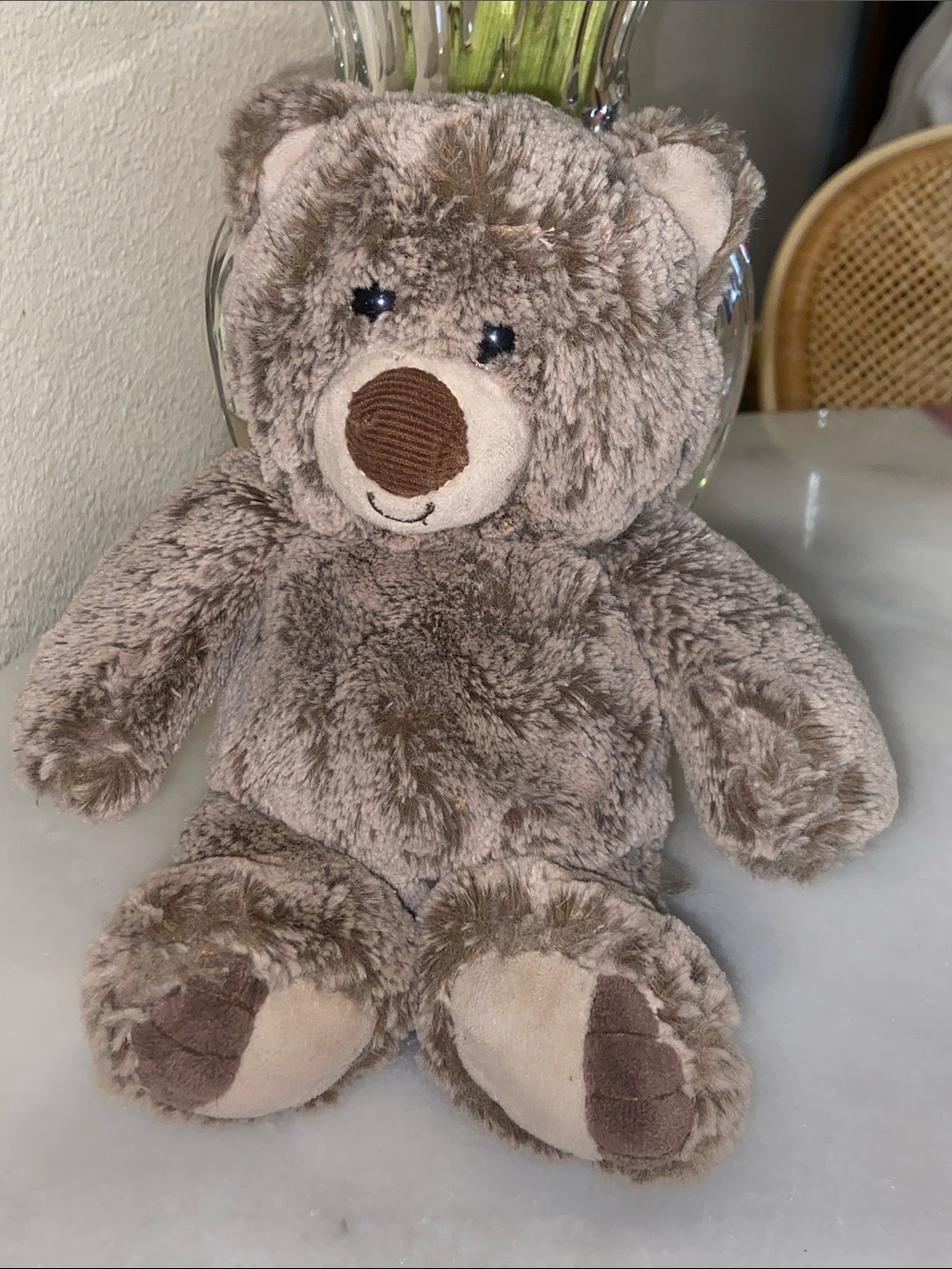 Cozy Plush Brown Teddy Bear by